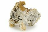 Gemmy Aquamarine and Schorl Crystals on Feldspar - Namibia #363664-1